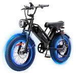 1000W Electric Mountain Bike with Fat Tires