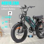 1000W Electric Mountain Bike with Fat Tires