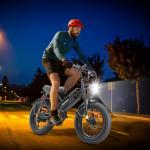 1000W Electric Mountain Bike with Fat Tires