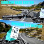 1000W Electric Mountain Bike with Fat Tires