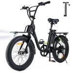 Flydone 48V 1000W Electric Bike with Cargo Rack
