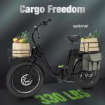 Flydone 48V 1000W Electric Bike with Cargo Rack