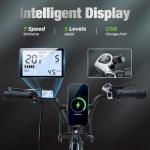 Flydone 48V 1000W Electric Bike with Cargo Rack