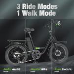 Flydone 48V 1000W Electric Bike with Cargo Rack