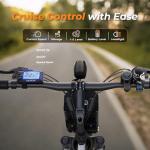 VARUN 750W Folding Electric Bike for Adults