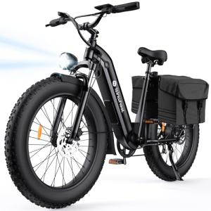 Isinwheel U8 1000W Electric Bike for Adults