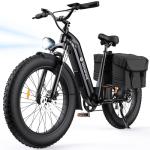 Isinwheel U8 1000W Electric Bike for Adults