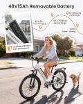 PuckiPuppy 960W Electric Bike for Adults
