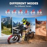 EcoE 6000W All-Terrain Electric Bike for Adults
