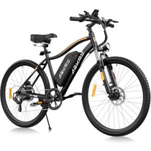 RPINT E26 Electric Mountain Bike with 750W Motor