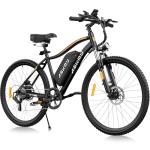 RPINT E26 Electric Mountain Bike with 750W Motor