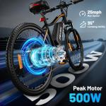 RPINT E26 Electric Mountain Bike with 750W Motor