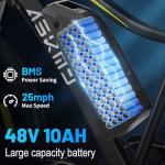 RPINT E26 Electric Mountain Bike with 750W Motor