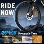 RPINT E26 Electric Mountain Bike with 750W Motor