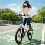 ILUCKYURE 1500W Folding Electric Bike for Commuting