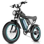 Q20 Electric Bike - 2000W All-Terrain Adventure