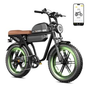 HOVSCO Retro Electric Bike with Dual Batteries