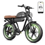 HOVSCO Retro Electric Bike with Dual Batteries