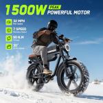 HOVSCO Retro Electric Bike with Dual Batteries