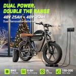 HOVSCO Retro Electric Bike with Dual Batteries
