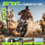 HOVSCO Retro Electric Bike with Dual Batteries