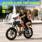 HOVSCO Retro Electric Bike with Dual Batteries