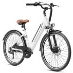 Jasion 26" Electric Bike for Adults, 750W Motor