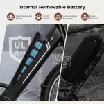 Jasion 26" Electric Bike with 750W Motor