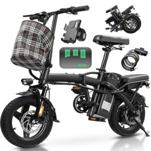 Compact Folding Electric Bike with 560W Motor