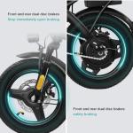 Compact Folding Electric Bike with 560W Motor
