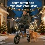 Caroma 1200W Electric Scooter with Seat and Fat Tires