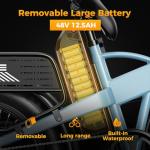 Heybike Explore 750W Electric Bike with Fat Tires