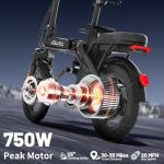 500W Folding Electric Bike for Adults and Teens