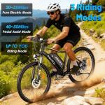 RPINT E26 Electric Mountain Bike with 750W Motor