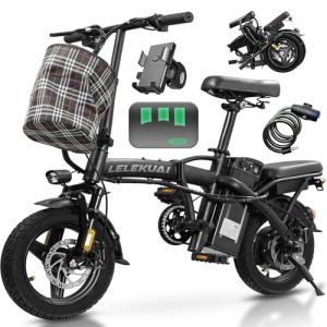 Compact Folding Electric Bike with 560W Motor