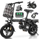 Compact Folding Electric Bike with 560W Motor