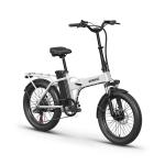 1000W 48V Folding Electric Bike with 70-Mile Range
