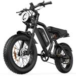 Hikeep 20" Fat Tire Electric Mountain Bike 1000W