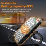 Hikeep 20" Fat Tire Electric Mountain Bike 1000W