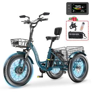 Mooncool 1100W Electric Fat Tire Tricycle for Adults