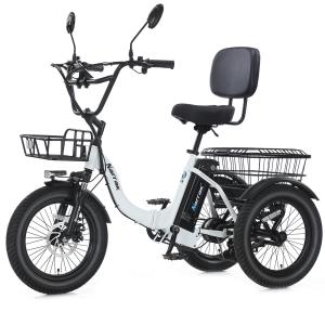 Narrak 1100W Fat Tire Folding Electric Trike