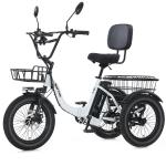 Narrak 1100W Fat Tire Folding Electric Trike