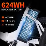 Narrak 1100W Fat Tire Folding Electric Trike