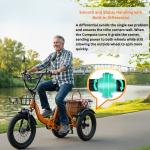 Narrak 1100W Fat Tire Folding Electric Trike