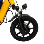 48V 350W Adult Electric Folding Trike