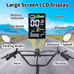 Narrak 1100W Fat Tire Folding Electric Trike