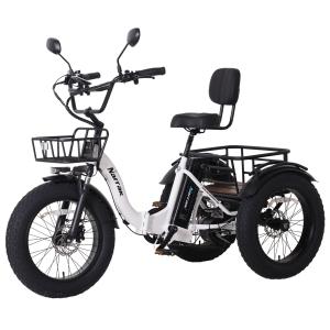 Narrak Electric Folding Tricycle with 750W Motor
