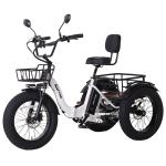 Narrak Electric Folding Tricycle with 750W Motor