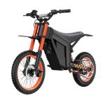 48V 21Ah 3000W Electric Mountain Bike