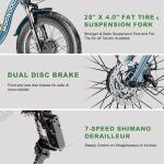 Mooncool 1100W Electric Fat Tire Tricycle for Adults